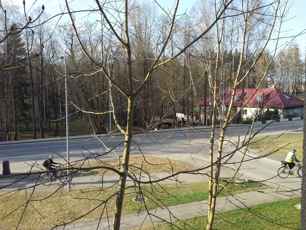 Lima Studio Druskininkai Kültér fotó